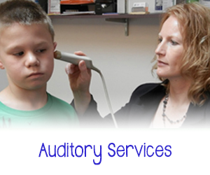 auditory services